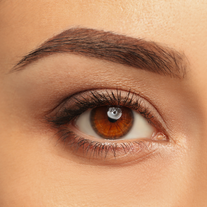 Close-up of a brown eye with long lashes, the upper eyelid and eyebrow above it